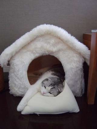 ぼくの部屋