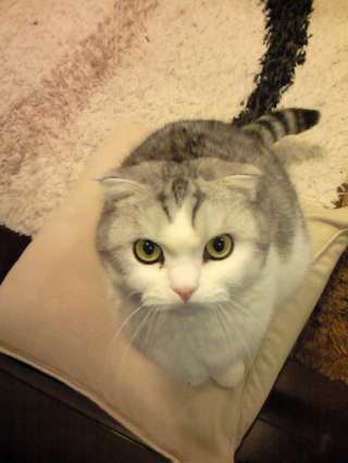 ちょうどいいサイズです^^