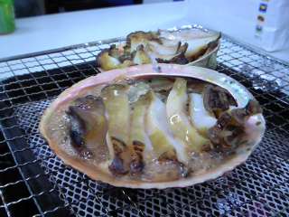 あわびの攻撃