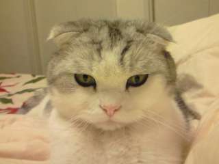 ブログネタに困ったら・・・