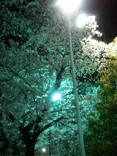 夜勤後に見た・・・
