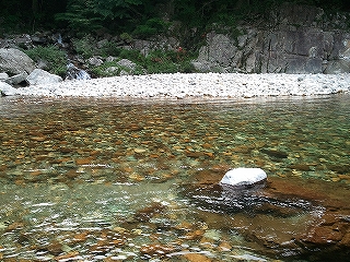 涼しげな写真を・・・