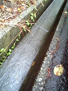 水の力