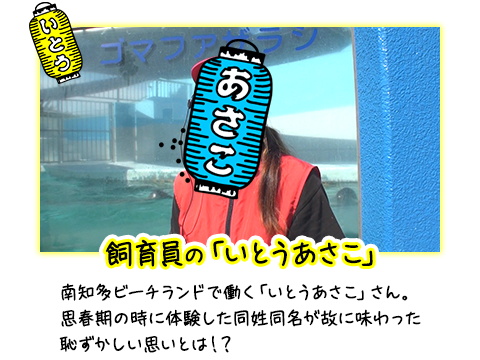 飼育員の「いとうあさこ」 南知多ビーチランドで働く「いとうあさこ」さん。思春期の時に体験した同姓同名が故に味わった恥ずかしい思いとは！？