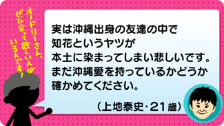 クチコミ