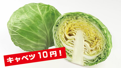 キャベツ