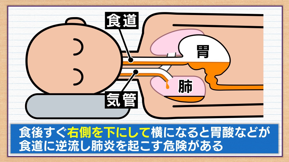 なる 食べ 横 あと た すぐ に 【松本浩彦医師】「食べてすぐ寝ると牛になる」はむしろオススメ！医師が解説/ドクター備忘録/オピニオンＤ/デイリースポーツ online