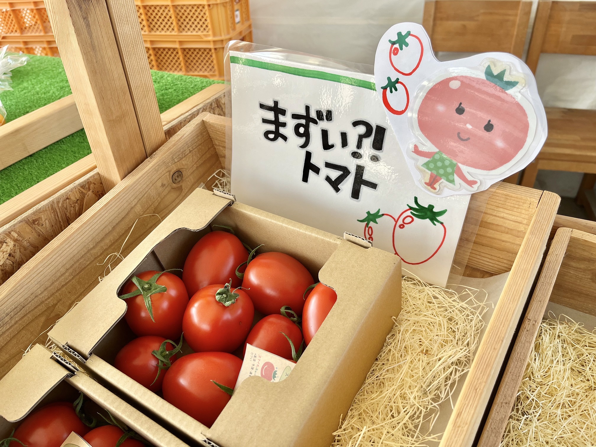 中継「まずい！？トマト」＠スマイルふぁーむ - キャッチ！：中京テレビ