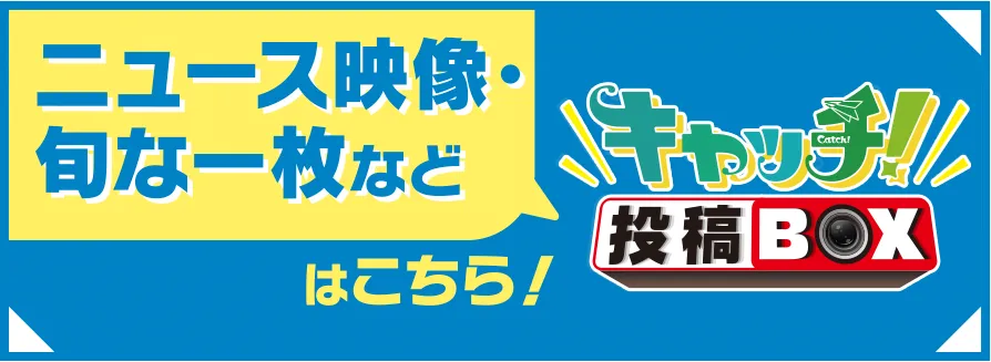 キャッチ!投稿BOX