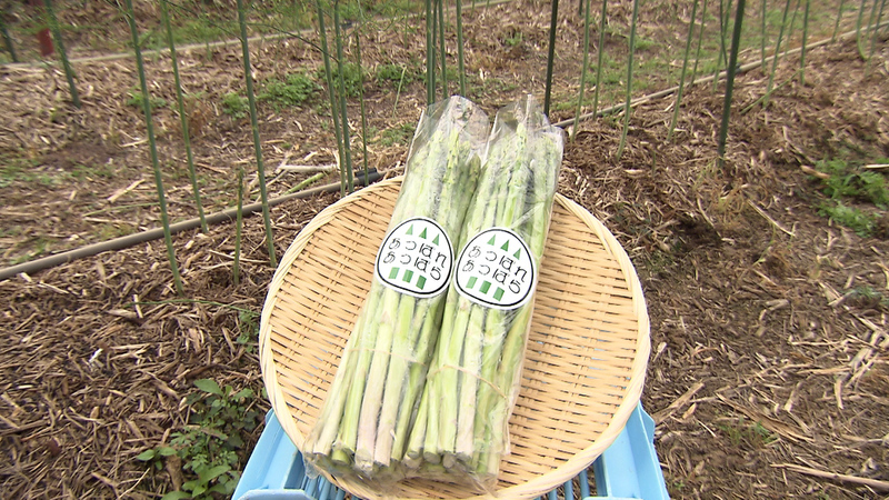 5月23日　放送内容