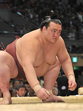 稀勢の里 寛