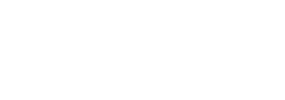PROGRAM