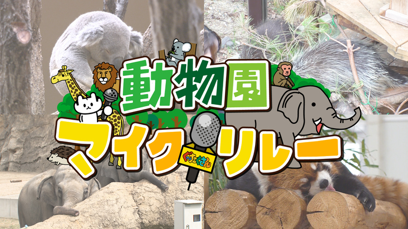 動物園マイクリレー