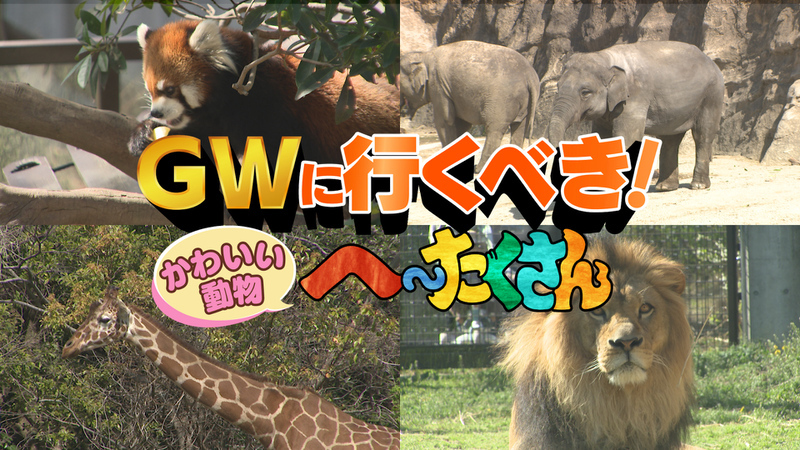 GWに行くべき！かわいい動物へ～たくさん