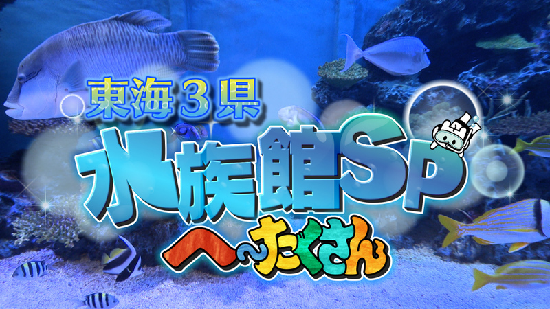 東海三県水族館SP！へ～たくさん