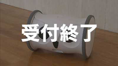 プレゼント画像