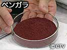 イメージ画像