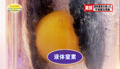 ６ -img-