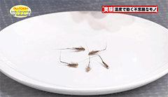 １ -img-