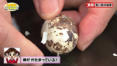 ５ -img-