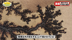 ４ -img-
