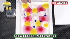 ２ -img-