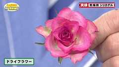 １ -img-