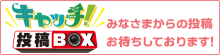 キャッチ!投稿BOX