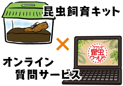 ササシマ昆虫ワールド 21 中京テレビ ササシマ昆虫ワールド 21 中京テレビ