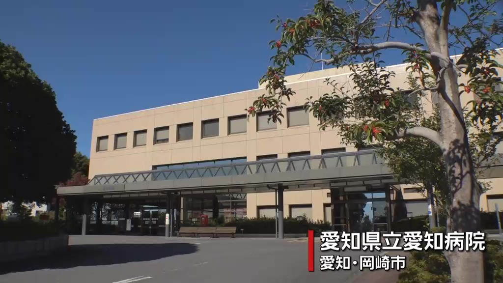 岡崎 コロナ ウィルス