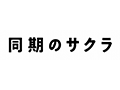同期のサクラ