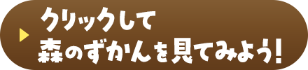 クリックして森のずかんを見てみよう！