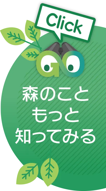 森のこともっと知ってみる