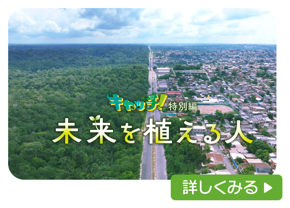 キャッチ！特別編 未来を植える人