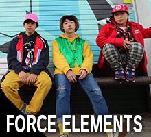 FORCE ELEMENTS