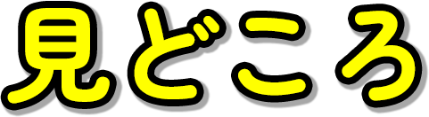 見どころ