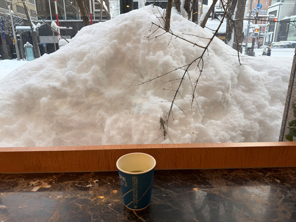 北海道2026（7）2月2日（月）、帰名。 | 稲見駅長の鉄道だよ人生は