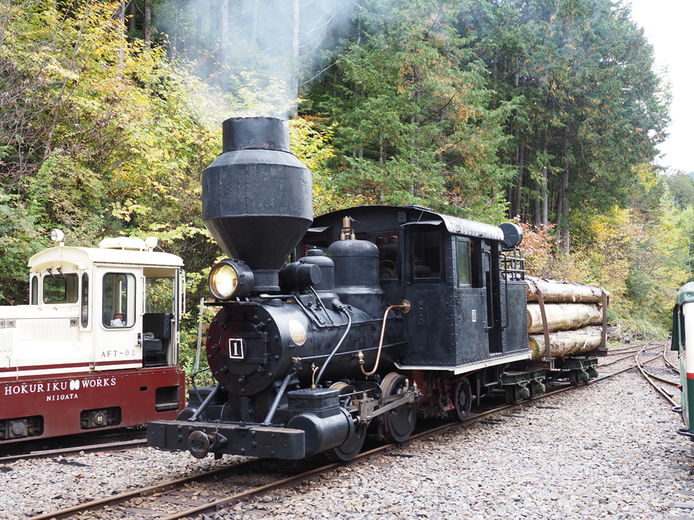 10月19日（日）の木曽谷・赤沢自然休養林。ボールドウィン製 No.1 蒸気