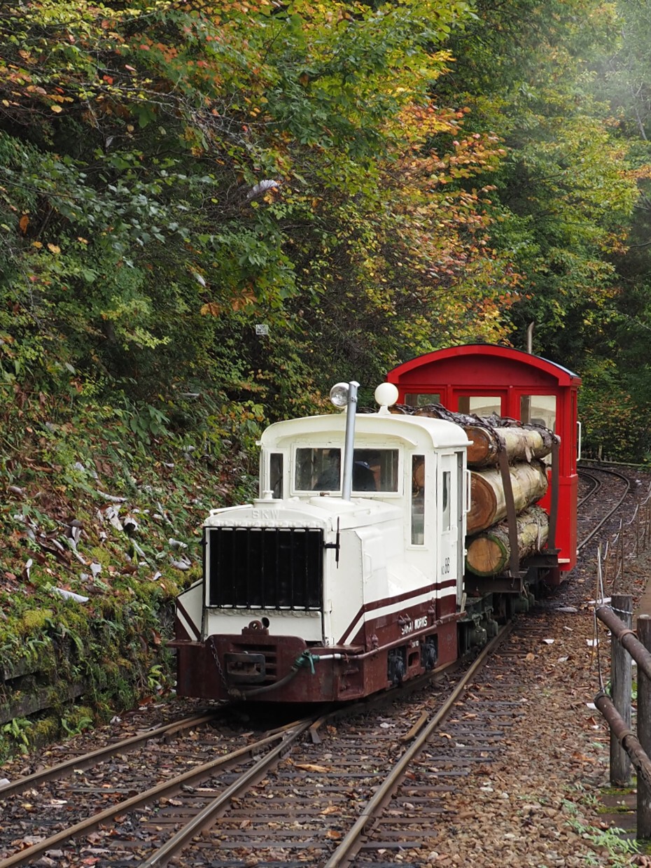 10月19日（日）の木曽谷・赤沢自然休養林。往時の森林鉄道を再現No.86