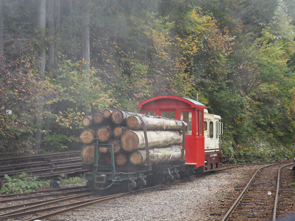 10月19日（日）の木曽谷・赤沢自然休養林。ボールドウィン製 No.1 蒸気