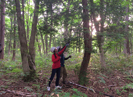 瀧本美織 × 鳥取県