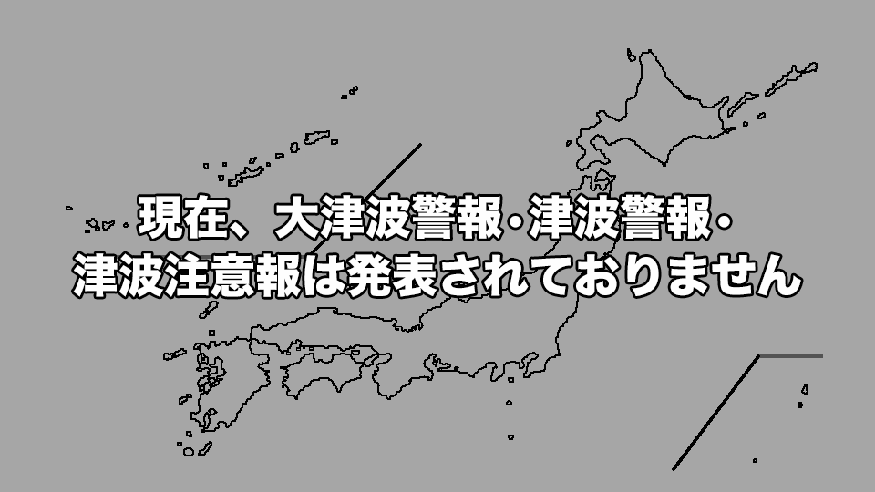 津波の様子